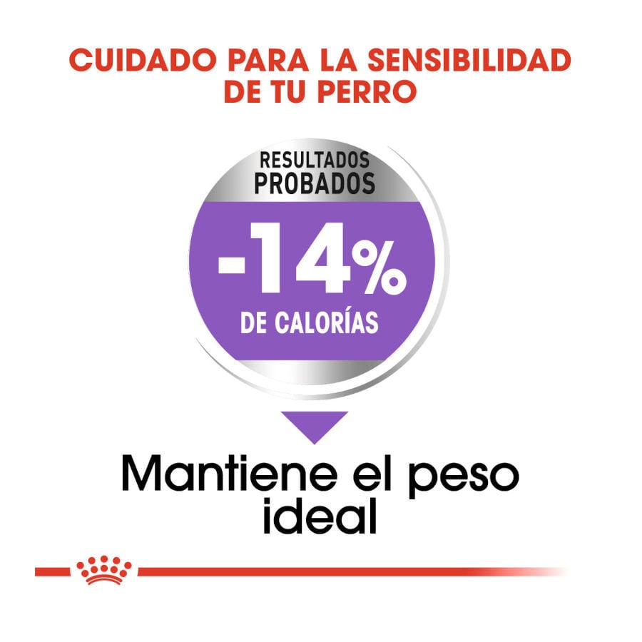 3 kg Royal Canin Sterilised Maxi pienso para perros, , large indicador imagen numero 6